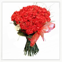 bouquet of carnations