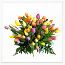Bukiet kolorowych  tulipanów