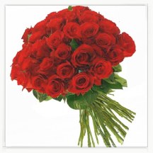 Bukiet z 30 czerwonych róż
